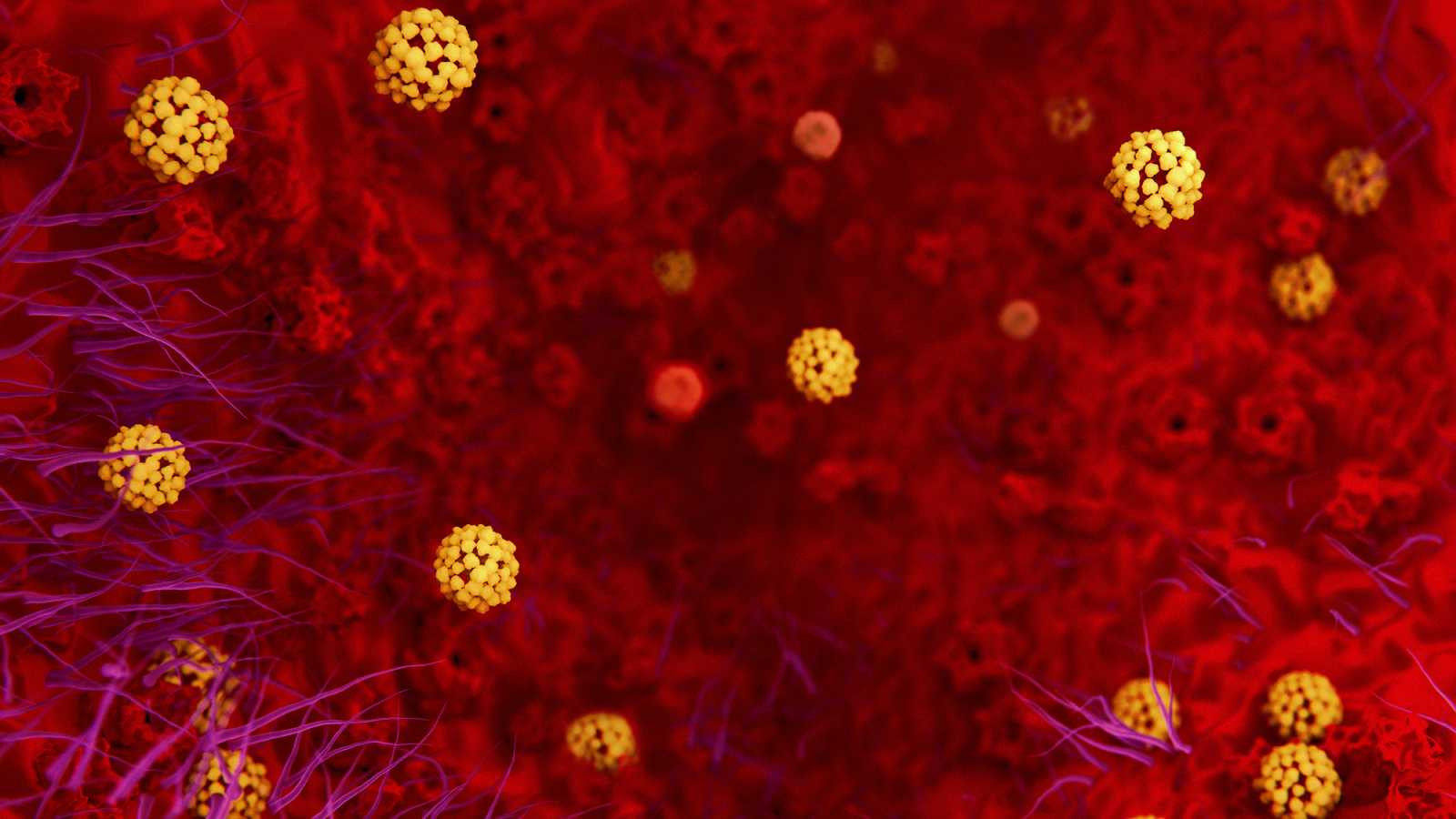Nuevo Tratamiento y protocolo para la prevención del coronavirus