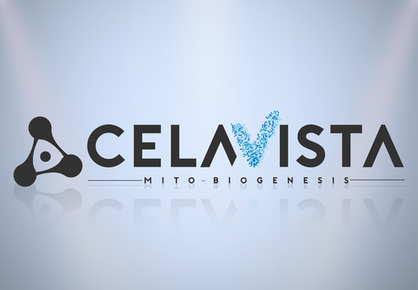 Celavista - Conferencia en Barcelona