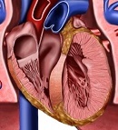 DEFICIENCIA NUTRICIONAL EN PACIENTES CON INSUFICIENCIA CARDIACA