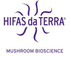 HIFAS DA TERRA: Cómo aplicar hongos medicinales con éxito en el deterioro cognitivo