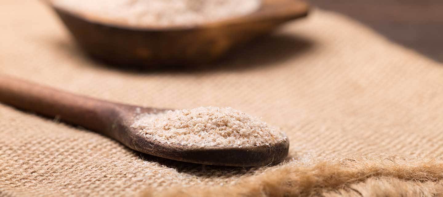 Microbiota y fibra dietética: nuevos mecanismos para el control metabólico